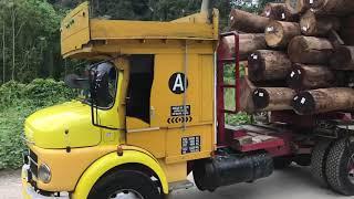 smooth sound from mercedes benz 911 logging truck (MALAYSIA)