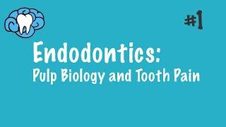 Endodontics | Pulp Biology and Tooth Pain | INBDE, ADAT