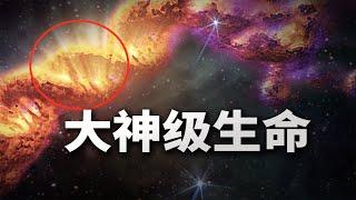 宇宙最极端的3种生命形式