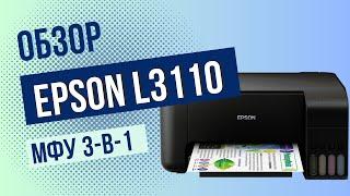 Обзор Epson L3110. МФУ для дома