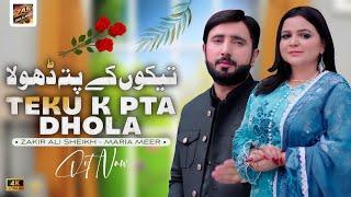 Teku K Pta Dhola | Zakir Ali Sheikh | Maria Meer | New Song 2025 | #Sadsong2025