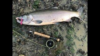 DIY Alaska Cruise Fishing - Ketchikan Ward Lake / Juneau Sheep Creek / Skagway Dewey Lake