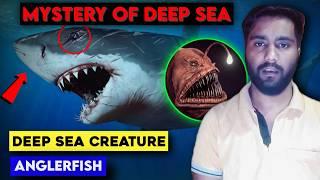 Why are DEEP SEA Creatures Coming to Surface? | Leviathan Mystery