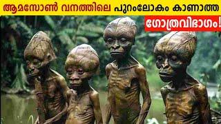 ആമസോൺ വനത്തിലെ ഏറ്റവും വലിയ രഹസ്യം! Lost Golden City Of Amazon Civilization | Malayalam