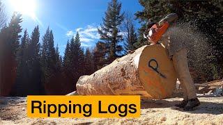 Ripping Logs with a Chainsaw - Free Handing Straight Cuts