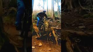 mind the fap madness. thank @UPHILLPHILL for filming #enduromtb #mtb #downhill #mtblife