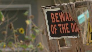 Dog attack leaves Albuquerque neighborhood on edge