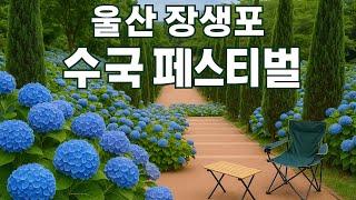 스텔스캠핑여행지Ep.25-21 울산 장생포 수국축제 다녀왔어요! 수국이 이렇게 예뻐도 되나요?