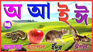 অ আ ই ঈ উ ঊ ঋ এ ঐ ও ঔ | Aye ajagar asche tere | Bornomala Bornomala | Bengali Alphabet