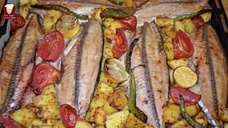 Baked Bonito Fish Recipe