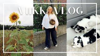 VIIKKO KANSSANI: AURINGONKUKKIA, PMMP:N KEIKKA, VINTAGESHOPPAILUA & TYÖPÄIVIÄ | Katri Konderla