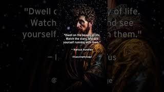 Stargazing and Self-Reflection: Finding Beauty and Connection with Marcus Aurelius #wisdom #quotes