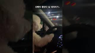 여유있게 빽미러도 보는 나란 강아지 널 데리러갈게 #강아지브이로그 #운전 #한블리