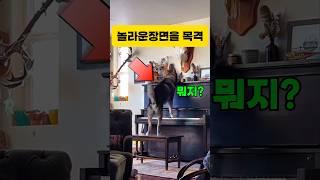 보고도 믿지못할 장면!! 이게 무슨소리지? #클래식 #피아노 #piano #일미터클래식 #music #즐거운영상