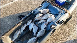 Porgy Fishing Marine Parkway Bridge Plus The Big Surprise