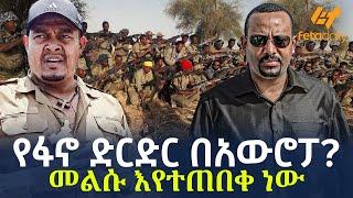 Ethiopia - የፋኖ ድርድር በአውሮፓ? መልሱ እየተጠበቀ ነው