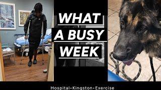 WOODIE needs crutches | Kingston Doctor Visit | Newborn Life | GYM Bae