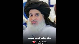 Sarkari Mulazmat | Allama Khadim Hussain Rizvi | Shorts Status | #tlpbspofficial