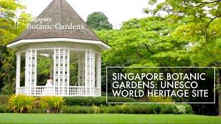 Singapore Botanic Gardens: UNESCO World Heritage Site