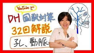 【32回解説No.4】歯科衛生士国家試験対策【解剖、動脈】【問6】