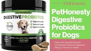 PetHonesty Digestive Probiotics for Dogs #shorts #dog #supplement