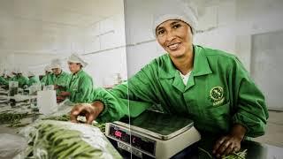 Rural Prosperity. Food. Resilience.
