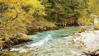 Relaxing River  | 4K UHD | Nature Sounds for Study, Meditate or Sleep