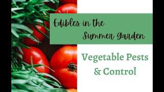 Vegetable Pests and Control