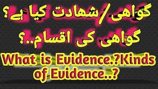 What is Evidence | Evidence Law | Atiq Usman Official