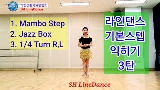 Mambo Step / Jazz Box /  라인댄스 기본스텝 익히기 3탄