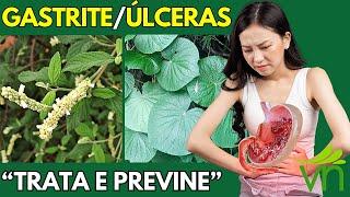 PODEROSO CHÁ ANTI-INFLAMATÓRIO contra gastrite, úlceras e outros problemas gastrointestinais