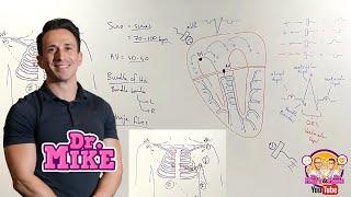 Understanding ECGs | From Placement to Interpretation