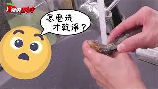 【解密片】孔雀蛤長毛能吃嗎？ | 台灣蘋果日報