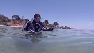 2018 scuba diving on the Dominion & Ozone Wrecks Indented Head, Port Phillip Bay