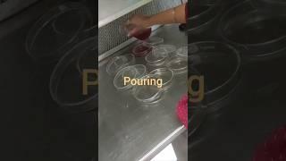 #MSA Media #plates preparation#streaking #microbiology