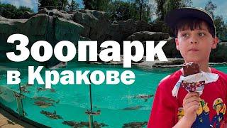 Счастливчик Роман. Эпизод 1. Зоопарк в Кракове.