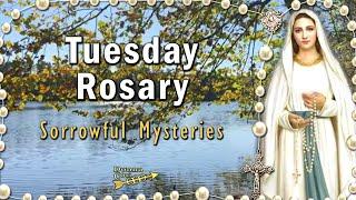 TODAY HOLY ROSARY Tuesday  Sorrowful Mysteries Rosary, NOVEMBER 5, 2024, Tree By the Lake, Scenic