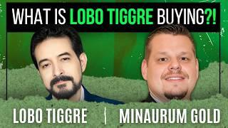 Lobo Tiggre Interview | Minaurum Gold CEO Interview