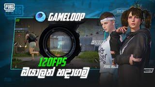 How to Get 120 FPS in Gameloop | 90FPS to 120 FPS | 120 FPS Gameloop | Sinhala