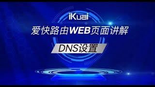 DNS设置