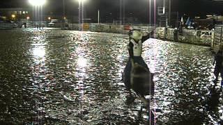 Beau Brooks - Bull riding 2011-11-29 Ride 4