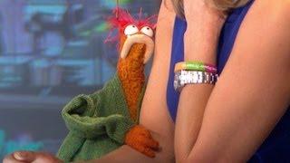 Pepe the King Prawn Flirts With 'Good Morning America's' Lara Spencer