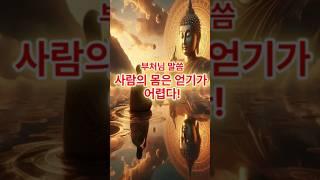 사람의 몸은 얻기 어렵다! #부처님 #견성성불 #견성