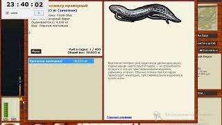 русская рыбалка 3.99  Нильский промысел! Протоптер мраморный!