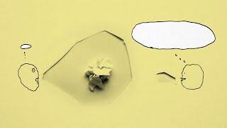 What We Say, and What We Mean | Pop-Up Magazine