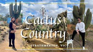 Cactus Country | Strathmerton, VIC | 2021