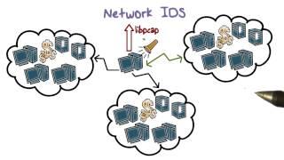 Network IDS