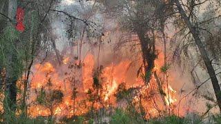 Spain firefighters make progress in battling first major wildfire of 2023 | AFP