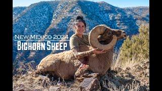 NM Bighorn Sheep Hunt 2024