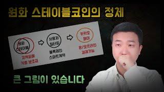 원화 스테이블코인을 서두르는 이유(ft.큰그림)